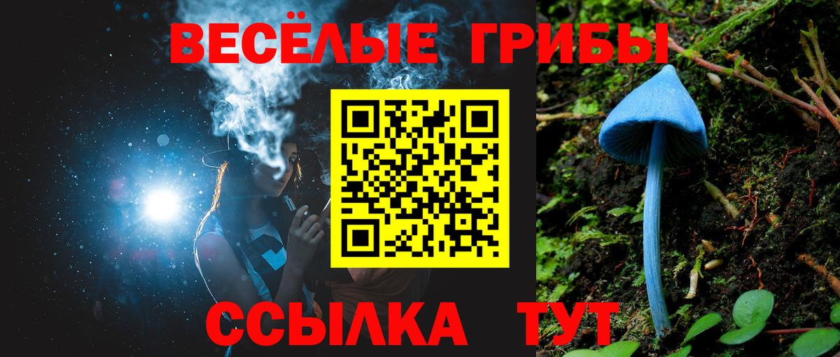 Медногорск  продажа наркотиков  Галлюциногенные грибы Psilocybine cubensis  Вход с VPN  Галлюциногенные грибы Cubensis 