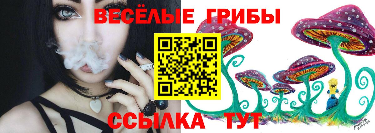 Псилоцибиновые грибы MAGIC MUSHROOMS Медногорск